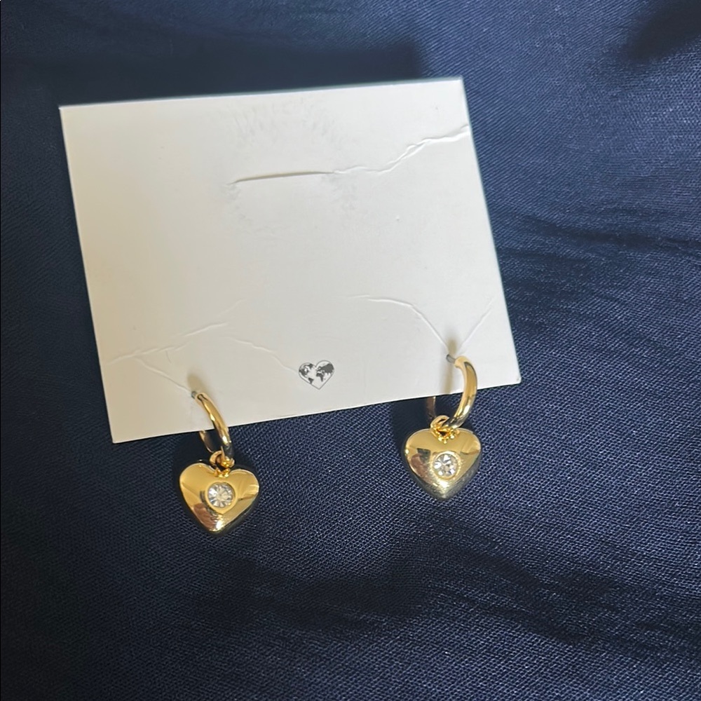 COACH New without Original Packaging Heart hoops